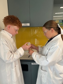 8 Science 1