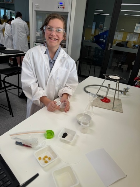 7 Science 2