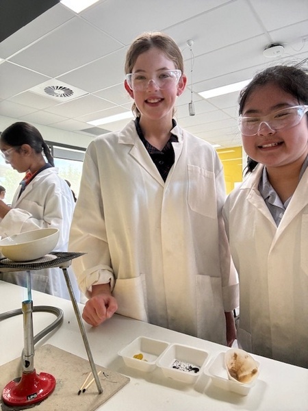7 Science 8