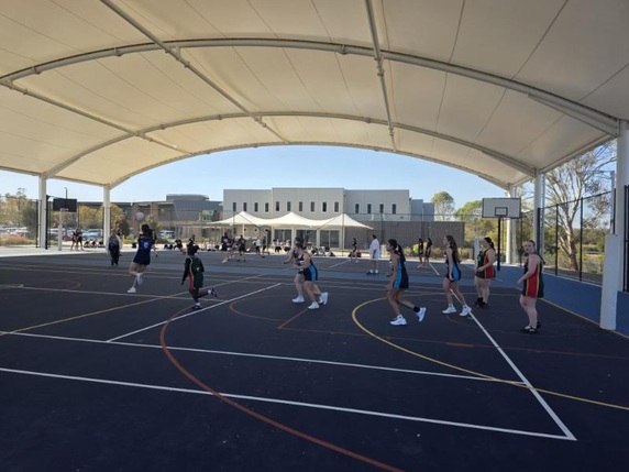 netball 4.jpg