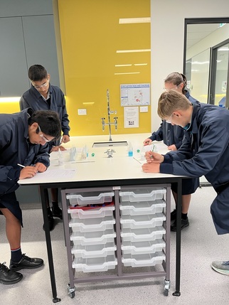 yr 9 science 3.jpeg
