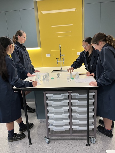 yr 9 science 4