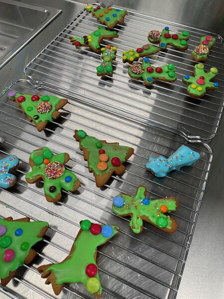 9A Gingerbread (6)